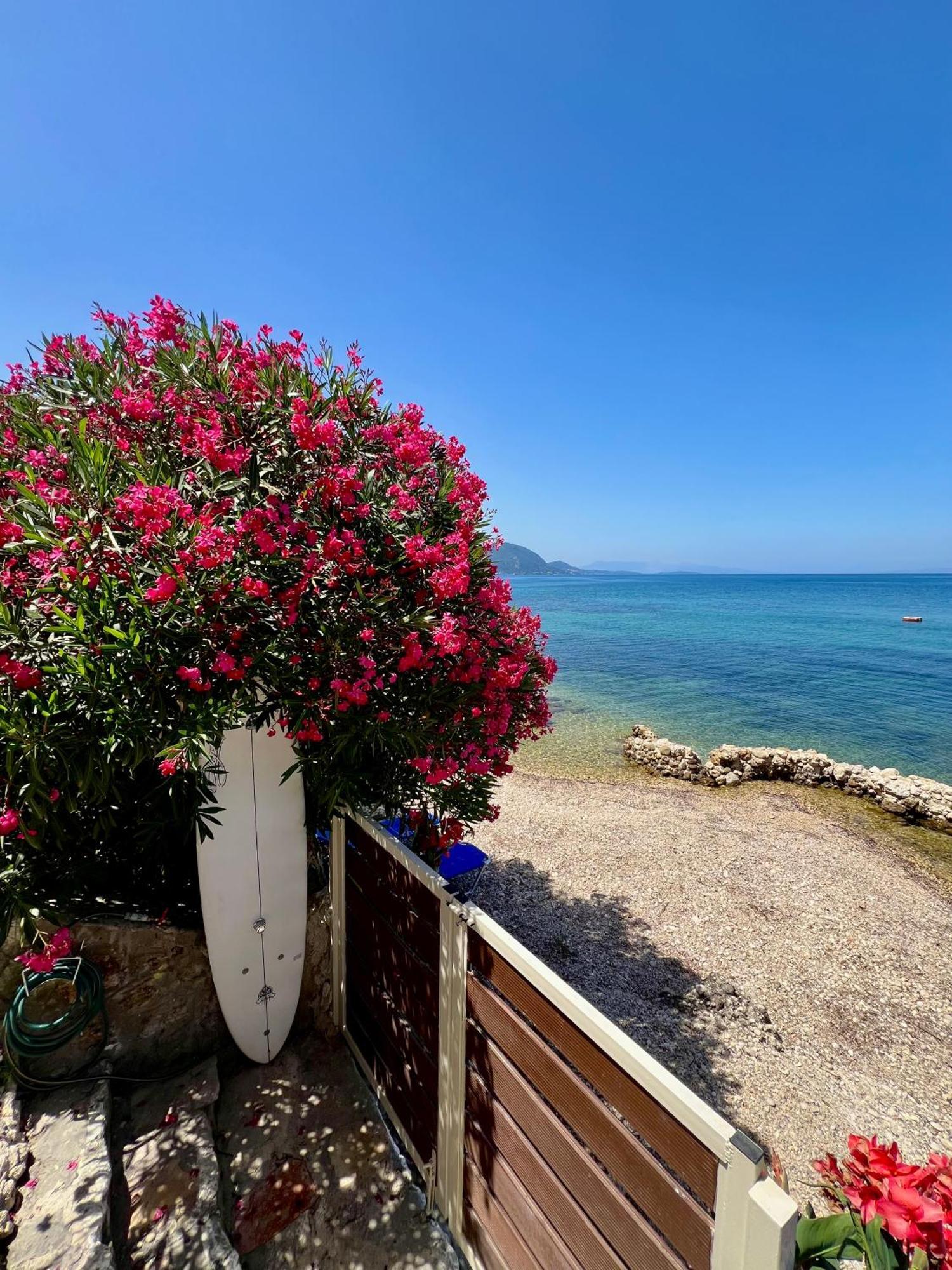 Kohyli Beachfront House Αγία Πελαγία Χλωμού Εξωτερικό φωτογραφία