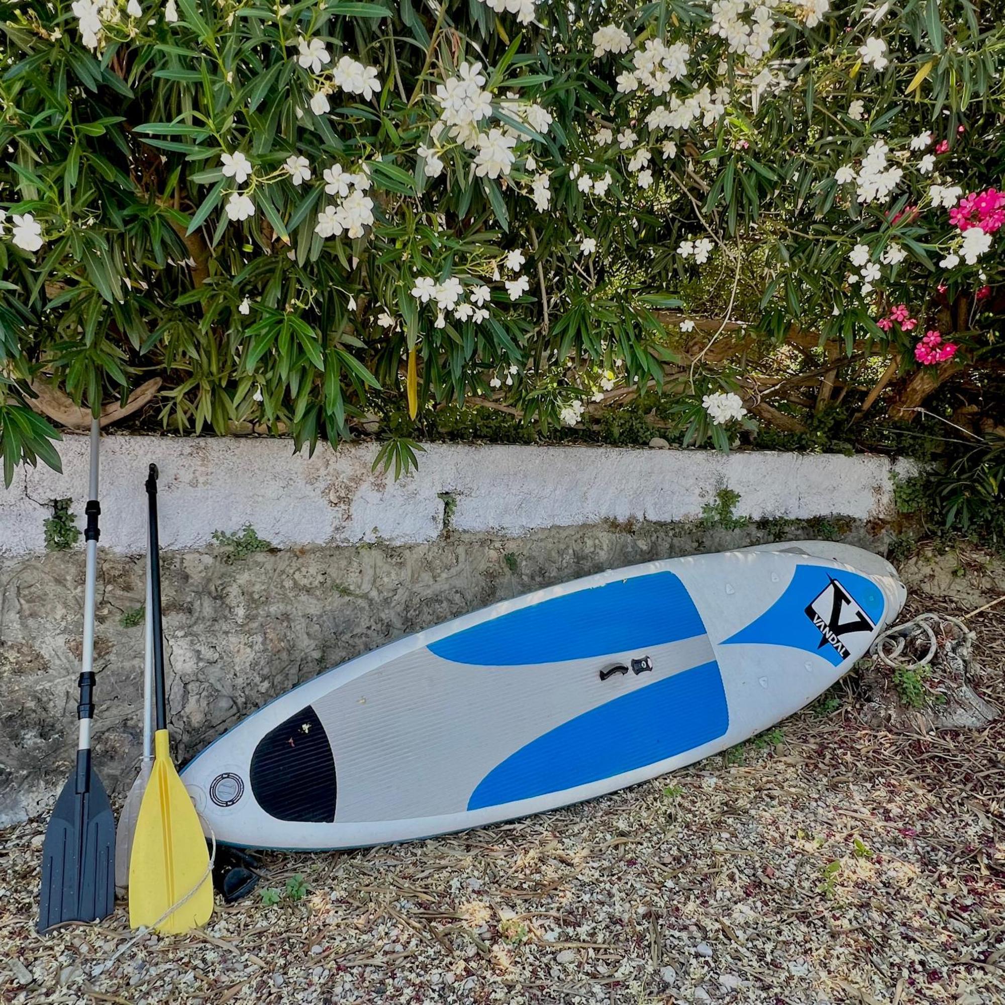 Kohyli Beachfront House Αγία Πελαγία Χλωμού Εξωτερικό φωτογραφία